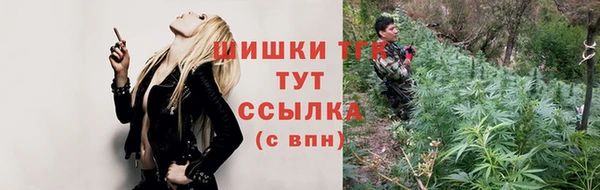 прущий лед Бородино