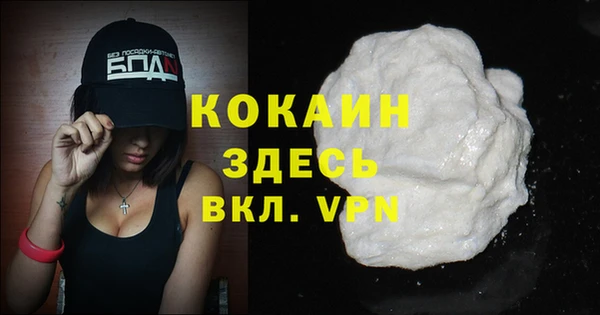 прущий лед Бородино