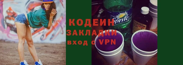 прущий лед Бородино