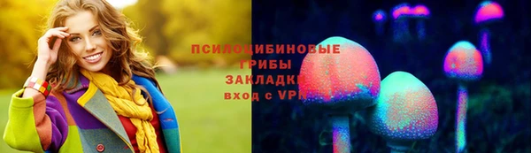 марки lsd Богданович