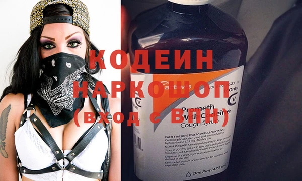 прущий лед Бородино