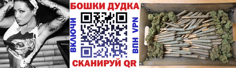 Каннабис план  где найти наркотики  Ярославль 